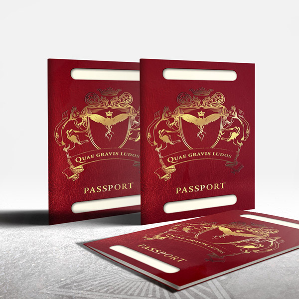 Lot de 3 Passeports